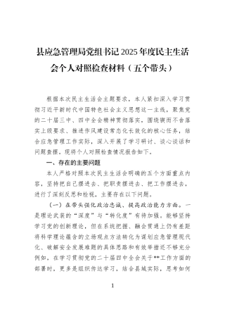县应急管理局党组书记2025年度民主生活会个人对照检查材料（五个带头）