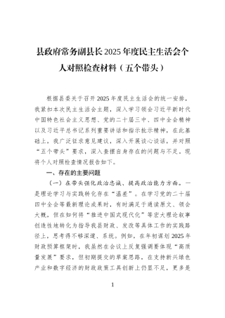 县政府常务副县长2025年度民主生活会个人对照检查材料（五个带头）