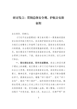 研讨发言：贯彻总体安全观，护航公安新征程