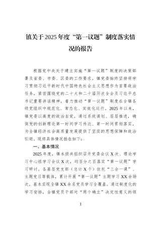 镇关于2025年度“第一议题”制度落实情况的报告