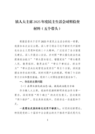 镇人大主席2025年度民主生活会对照检查材料（五个带头）