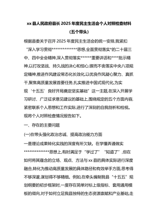 县人民政府县长2025年度民主生活会个人对照检查材料（五个带头）