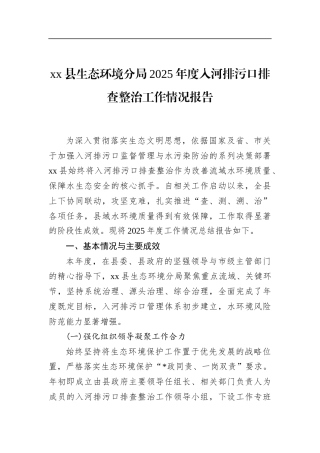 县生态环境分局2025年度入河排污口排查整治工作情况报告
