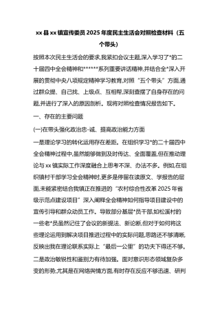 镇宣传委员2025年度民主生活会对照检查材料（五个带头）