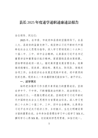 县长2025年度述学述职述廉述法报告