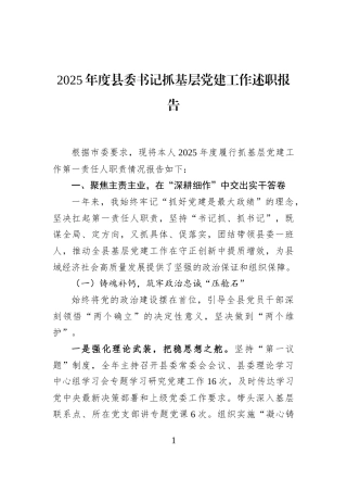 2025年度县委书记抓基层党建工作述职报告