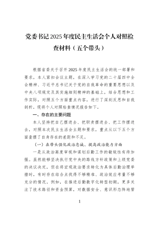 党委书记2025年度民主生活会个人对照检查材料（五个带头）