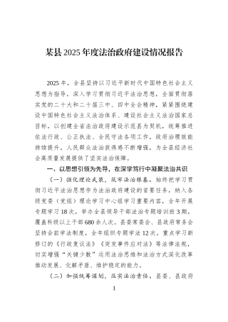 某县2025年度法治政府建设情况报告