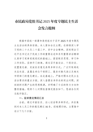 市民政局党组书记2025年度专题民主生活会发言提纲