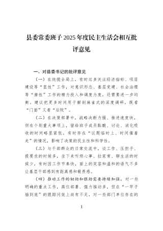 县委常委班子2025年度民主生活会相互批评意见