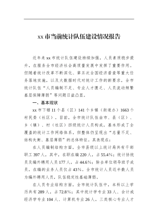 市当前统计队伍建设情况报告