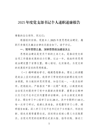 2025年度党支部书记个人述职述廉报告