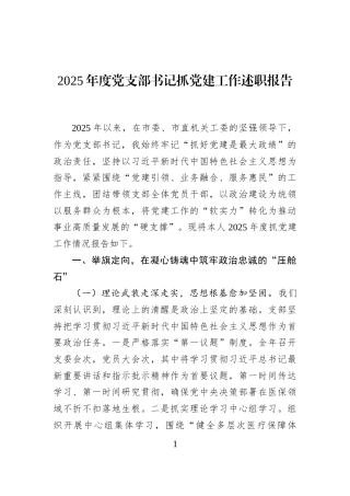 2025年度党支部书记抓党建工作述职报告