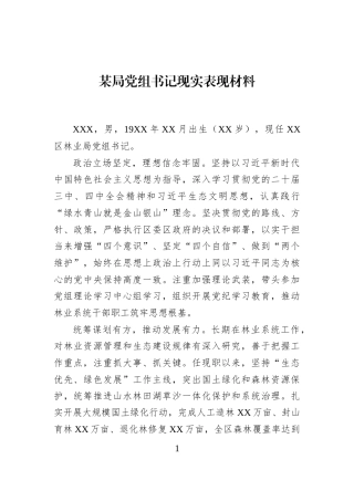 某局党组书记现实表现材料