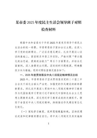 某市委2025年度民主生活会领导班子对照检查材料
