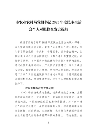 市农业农村局党组书记2025年度民主生活会个人对照检查发言提纲