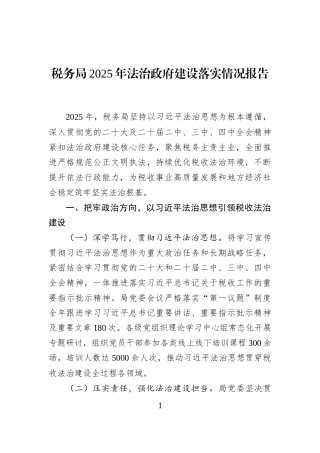 税务局2025年法治政府建设落实情况报告