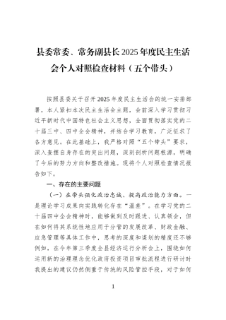 县委常委、常务副县长2025年度民主生活会个人对照检查材料（五个带头）