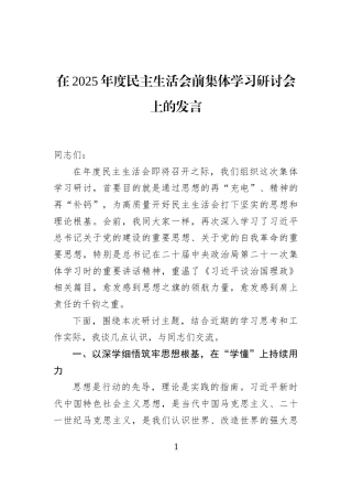 在2025年度民主生活会前集体学习研讨会上的发言