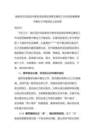 县委书记在落实市委专项巡察反馈意见整改工作动员部署暨集中整治工作推进会上的讲话