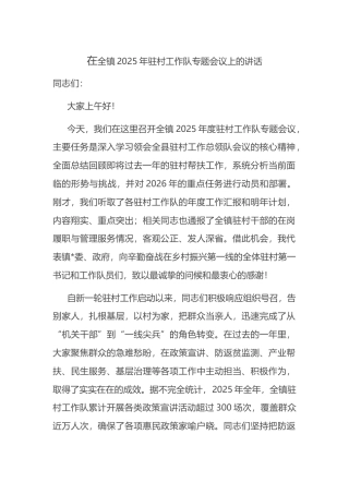 在全镇2025年驻村工作队专题会议上的讲话