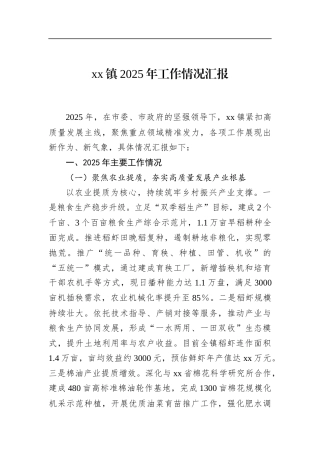 镇2025年工作情况汇报