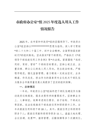 市政府办公室2025年度选人用人工作情况报告