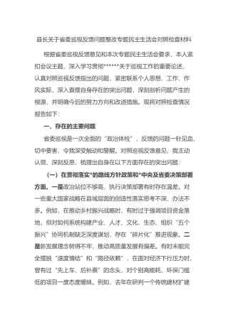 县长关于省委巡视反馈问题整改专题民主生活会对照检查材料