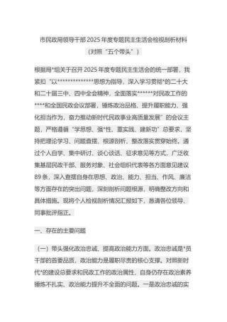 市民政局领导干部2025年度专题民主生活会检视剖析材料