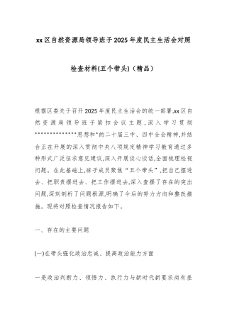区自然资源局领导班子2025年度民主生活会对照检查材料(五个带头)