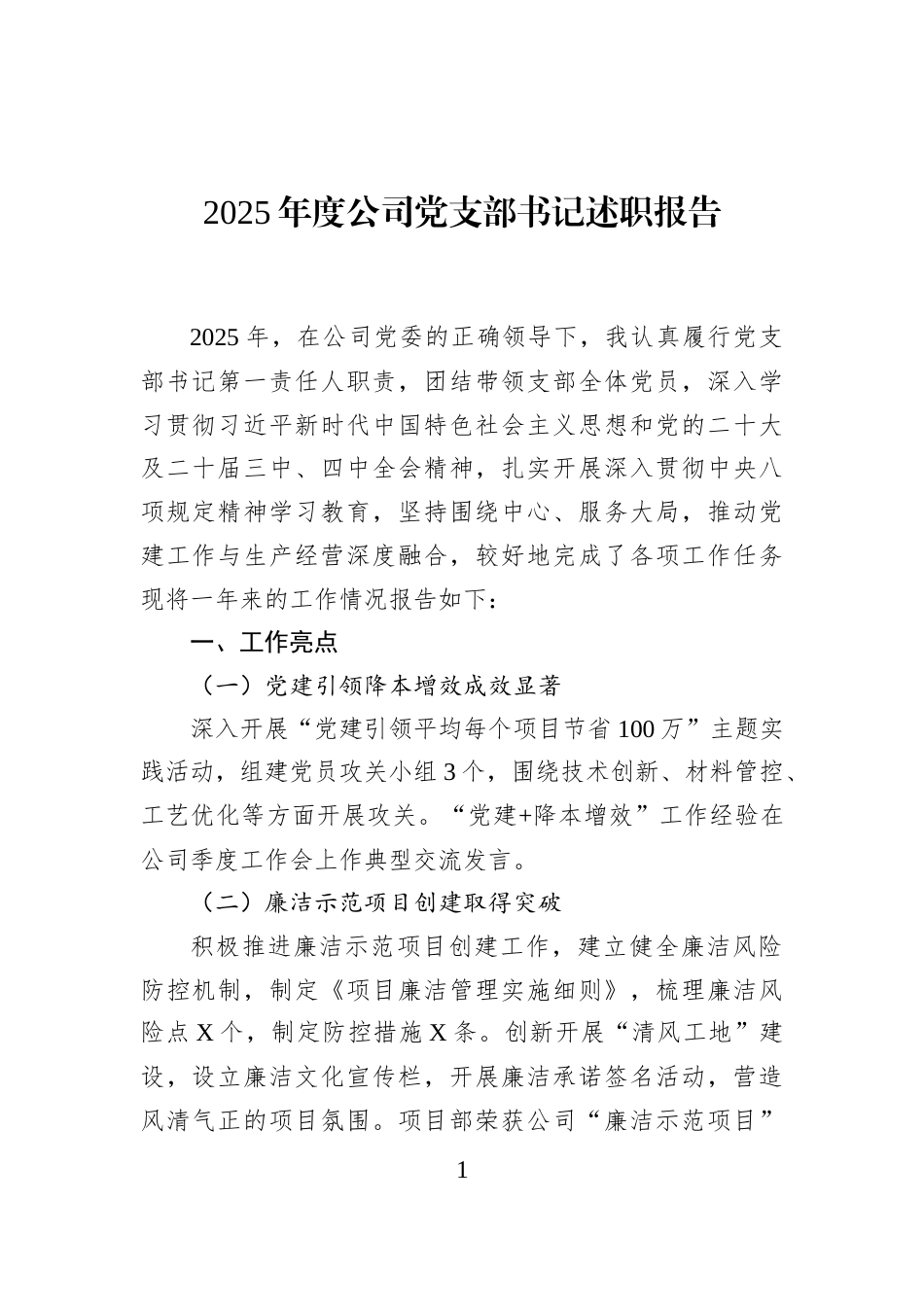 2025年度公司党支部书记述职报告_第1页