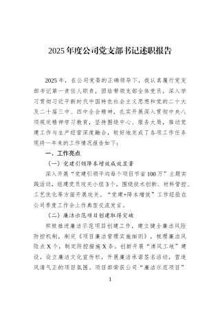 2025年度公司党支部书记述职报告