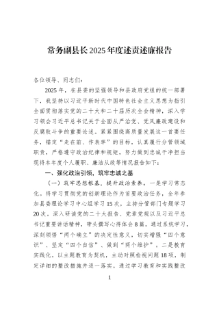 常务副县长2025年度述责述廉报告