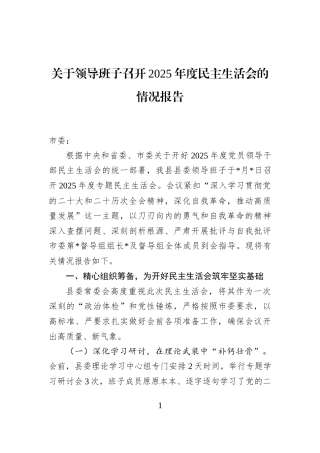 关于领导班子召开2025年度民主生活会的情况报告