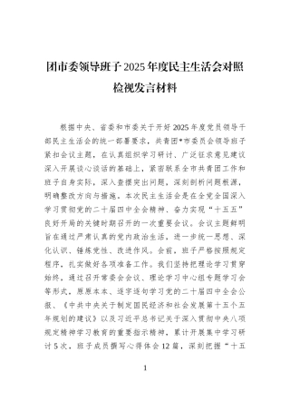 团市委领导班子2025年度民主生活会对照检视发言材料