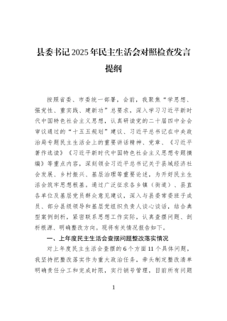 县委书记2025年民主生活会对照检查发言提纲