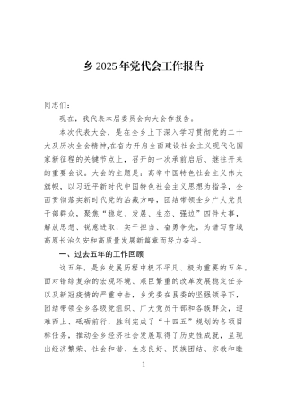 乡2025年党代会工作报告