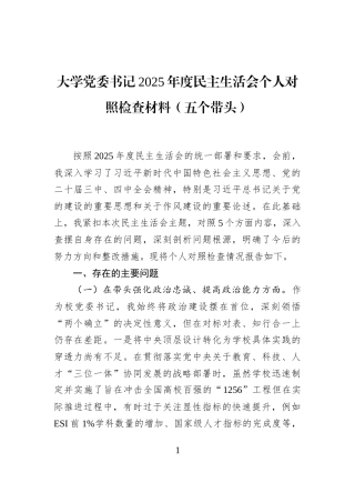 大学党委书记2025年度民主生活会个人对照检查材料（五个带头）