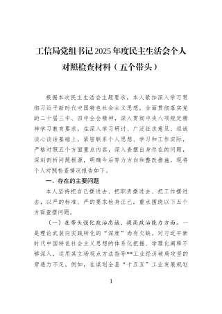 工信局党组书记2025年度民主生活会个人对照检查材料(五个带头)