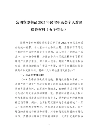 公司党委书记2025年民主生活会个人对照检查材料（五个带头）