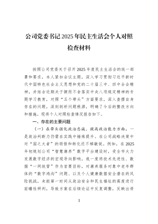 公司党委书记2025年民主生活会个人对照检查材料