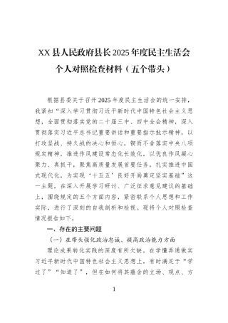 XX县人民政府县长2025年度民主生活会个人对照检查材料（五个带头）