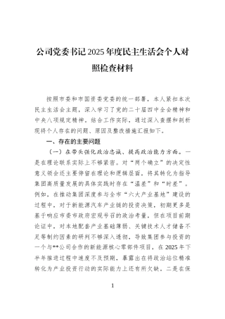 公司党委书记2025年度民主生活会个人对照检查材料