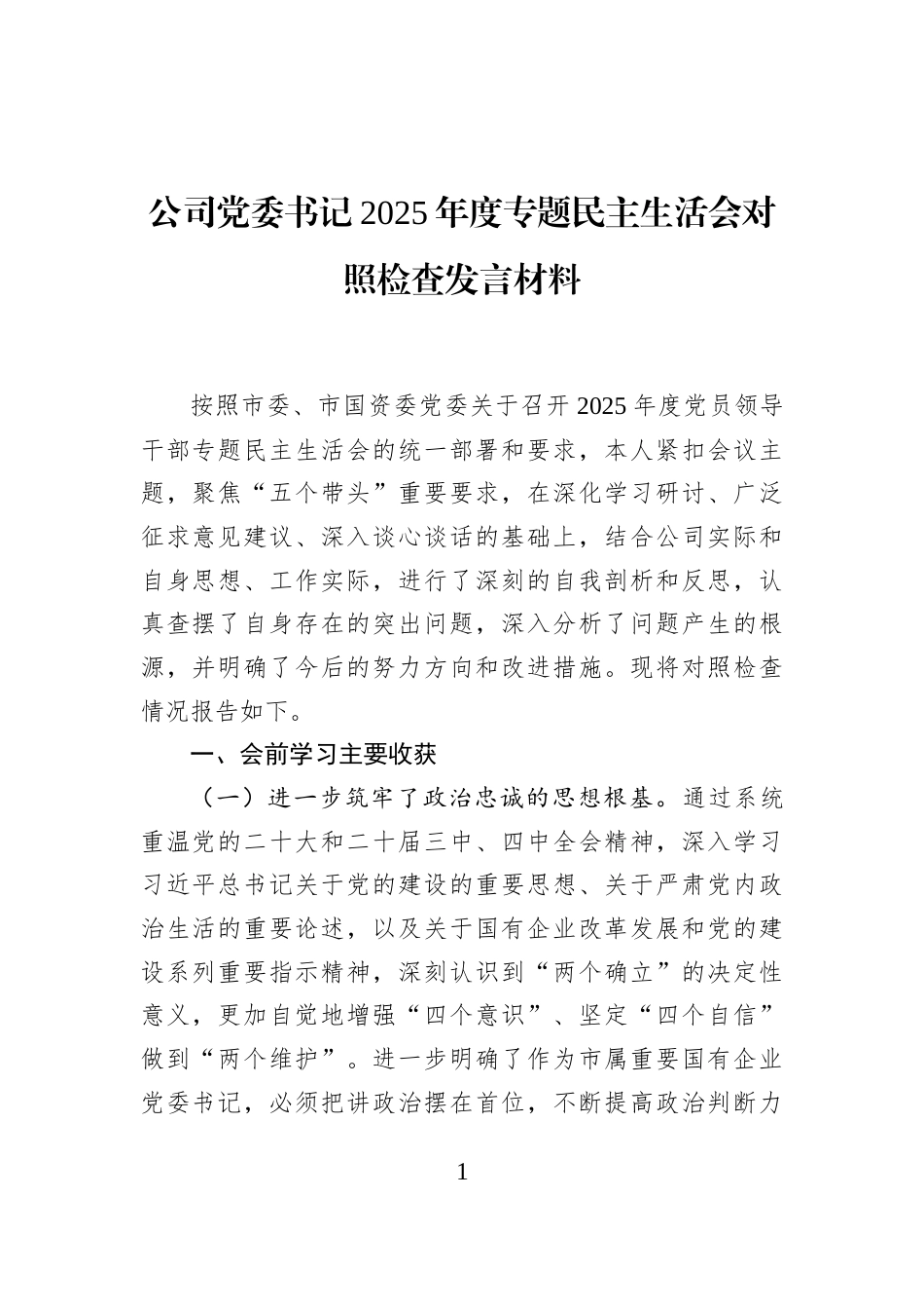 公司党委书记2025年度专题民主生活会对照检查发言材料_第1页