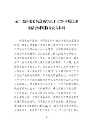某市委政法委员会领导班子2025年度民主生活会对照检查发言材料