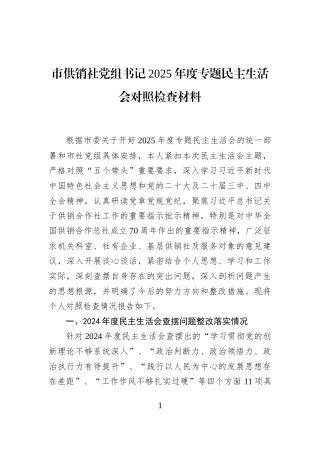 市供销社党组书记2025年度专题民主生活会对照检查材料