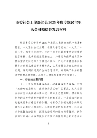 市委社会工作部部长2025年度专题民主生活会对照检查发言材料