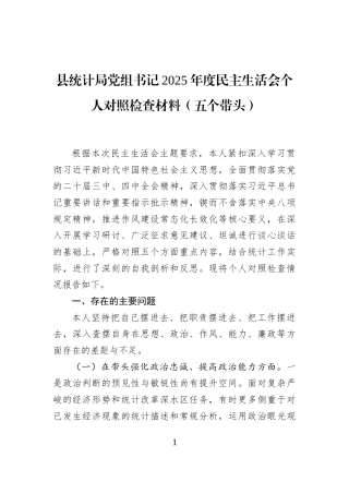县统计局党组书记2025年度民主生活会个人对照检查材料(五个带头)