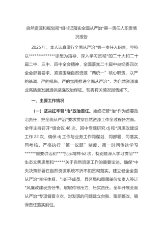 自然资源和规划局书记落实全面从严治党第一责任人职责情况报告