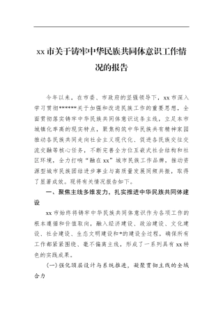市关于铸牢中华民族共同体意识工作情况的报告